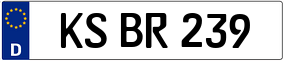 Truck License Plate